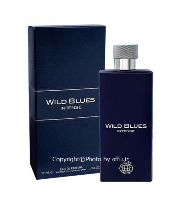 مشاهده قیمت و خرید ادکلن مردانه فراگرنس ورد ویلد بلوز اینتنس Fragrance World Wild Blues Intense حجم 100 میلی لیتر | ف